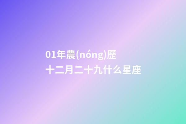01年農(nóng)歷十二月二十九什么星座-第1張-星座運(yùn)勢(shì)-玄機(jī)派
