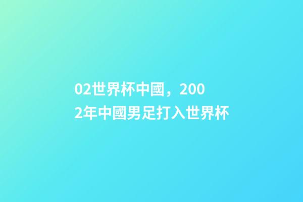 02世界杯中國，2002年中國男足打入世界杯-第1張-觀點-玄機派