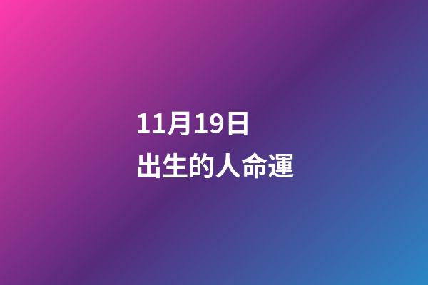 11月19日出生的人命運(關于養(yǎng)貓的知識點)-第1張-觀點-玄機派