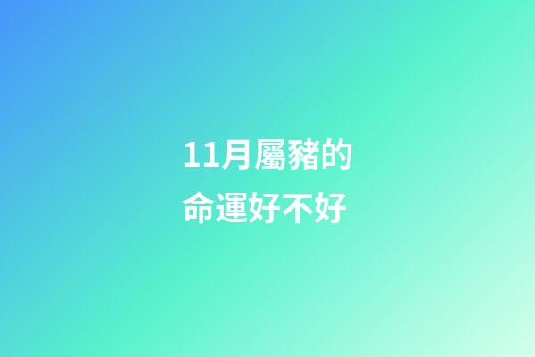 11月屬豬的命運好不好(這個月出生的生肖最好命，貴人運極旺，名利雙收!你是嗎？)-第1張-觀點-玄機派