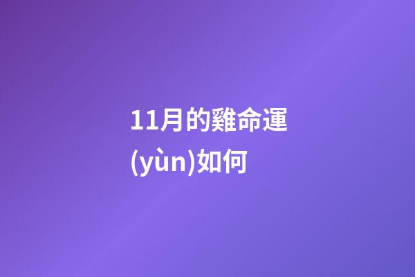 11月的雞命運(yùn)如何(12 月 中 旬 蛋 價(jià) 走 低，需 求 走 弱)-第1張-觀點(diǎn)-玄機(jī)派