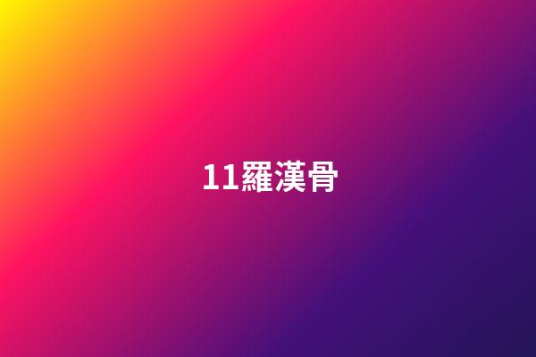 11.羅漢骨