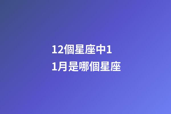 12個星座中11月是哪個星座-第1張-星座運勢-玄機派