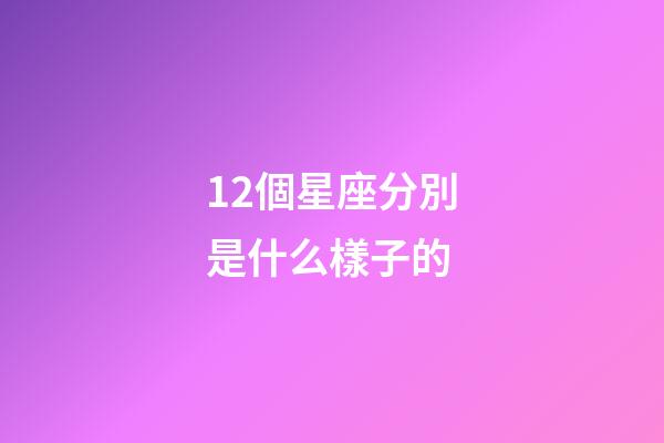 12個星座分別是什么樣子的-第1張-星座運勢-玄機派
