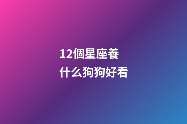 12個星座養什么狗狗好看-第1張-星座運勢-玄機派