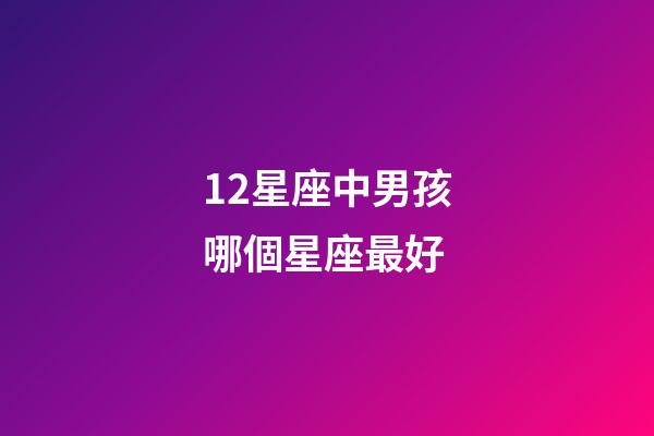 12星座中男孩哪個星座最好-第1張-星座運勢-玄機派