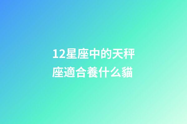 12星座中的天秤座適合養什么貓-第1張-星座運勢-玄機派