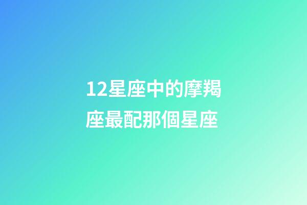 12星座中的摩羯座最配那個星座-第1張-星座運勢-玄機派