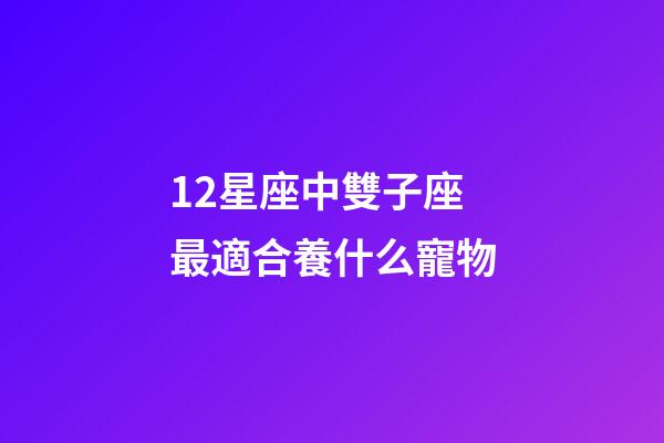 12星座中雙子座最適合養什么寵物-第1張-星座運勢-玄機派
