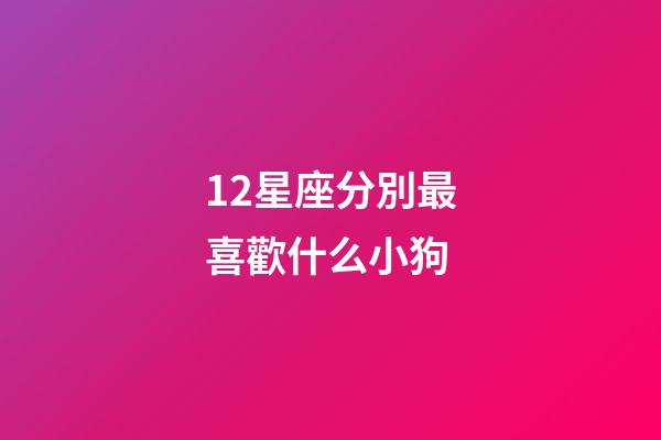 12星座分別最喜歡什么小狗-第1張-星座運勢-玄機派
