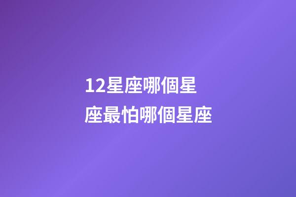 12星座哪個星座最怕哪個星座-第1張-星座運勢-玄機派