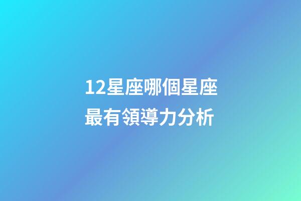 12星座哪個星座最有領導力分析