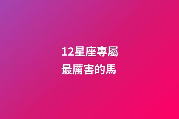 12星座專屬最厲害的馬-第1張-星座運勢-玄機派