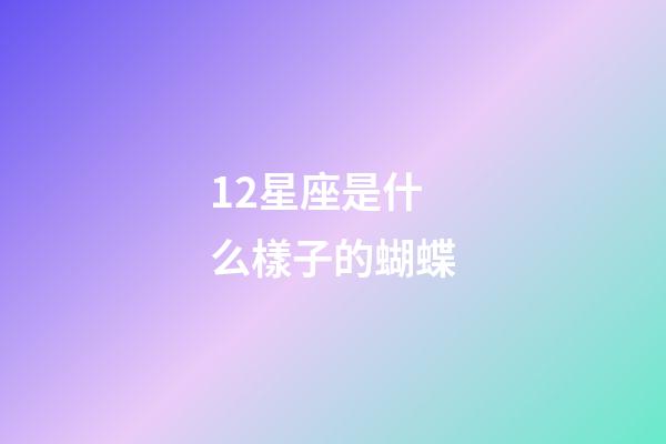 12星座是什么樣子的蝴蝶-第1張-星座運勢-玄機派