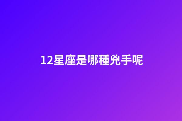 12星座是哪種兇手呢-第1張-星座運勢-玄機派