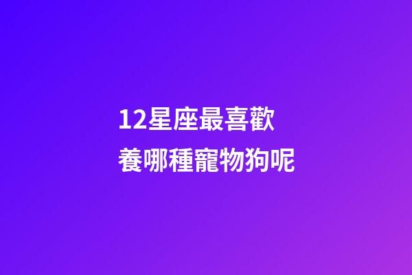 12星座最喜歡養哪種寵物狗呢-第1張-星座運勢-玄機派