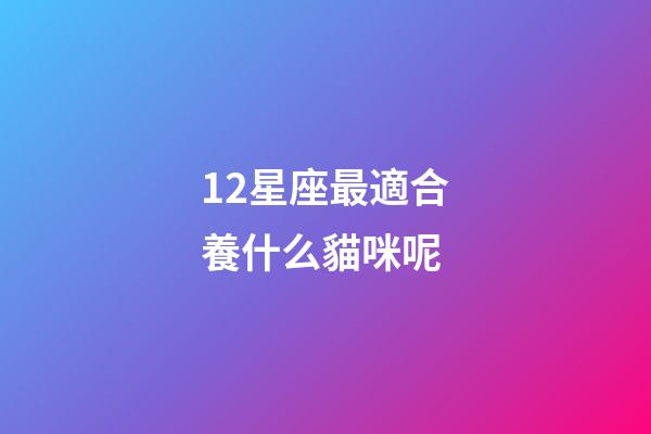 12星座最適合養什么貓咪呢-第1張-星座運勢-玄機派
