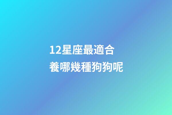 12星座最適合養哪幾種狗狗呢-第1張-星座運勢-玄機派