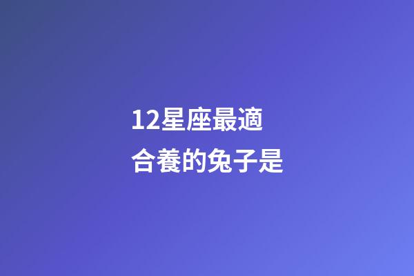 12星座最適合養的兔子是-第1張-星座運勢-玄機派