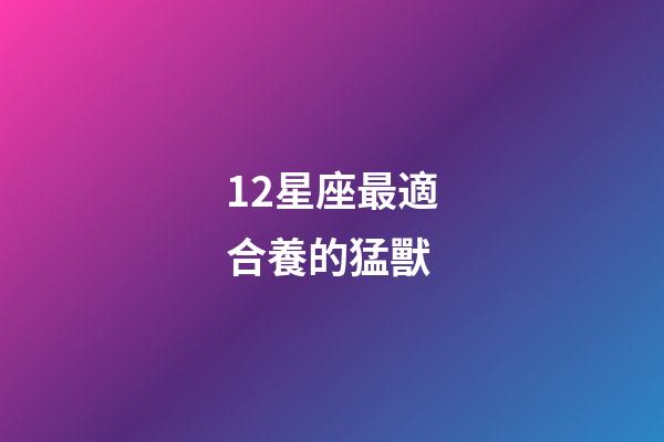 12星座最適合養的猛獸
