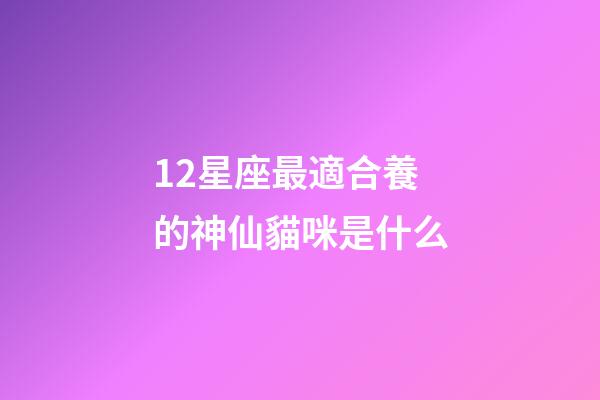 12星座最適合養的神仙貓咪是什么-第1張-星座運勢-玄機派