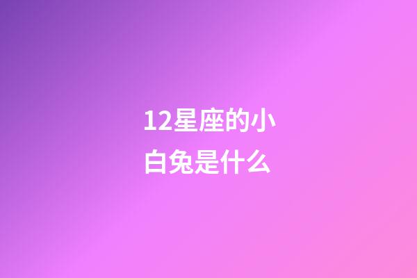 12星座的小白兔是什么-第1張-星座運勢-玄機派