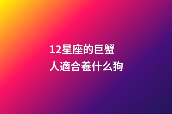 12星座的巨蟹人適合養什么狗-第1張-星座運勢-玄機派
