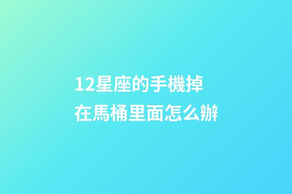 12星座的手機掉在馬桶里面怎么辦-第1張-星座運勢-玄機派