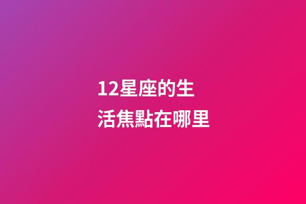 12星座的生活焦點在哪里