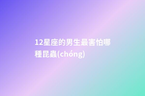 12星座的男生最害怕哪種昆蟲(chóng)-第1張-星座運(yùn)勢(shì)-玄機(jī)派