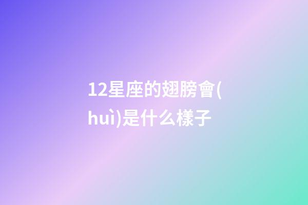 12星座的翅膀會(huì)是什么樣子