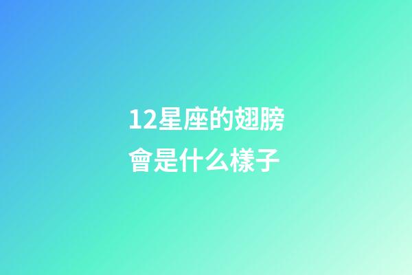 12星座的翅膀會是什么樣子-第1張-星座運勢-玄機派