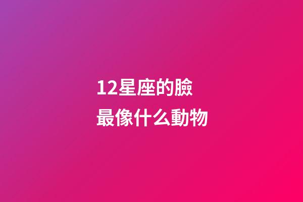 12星座的臉最像什么動物-第1張-星座運勢-玄機派