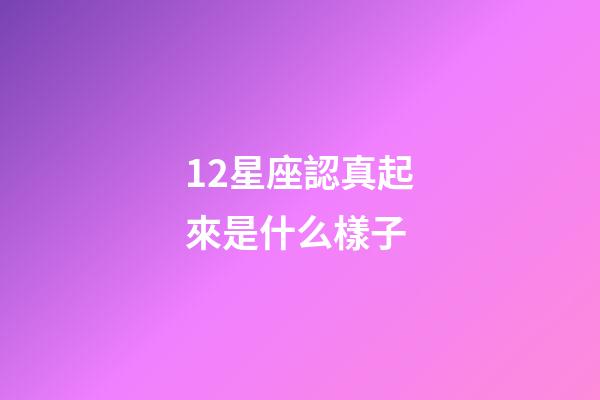 12星座認真起來是什么樣子-第1張-星座運勢-玄機派