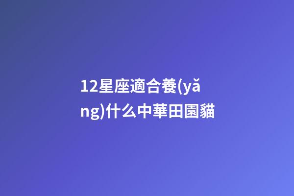 12星座適合養(yǎng)什么中華田園貓-第1張-星座運(yùn)勢-玄機(jī)派