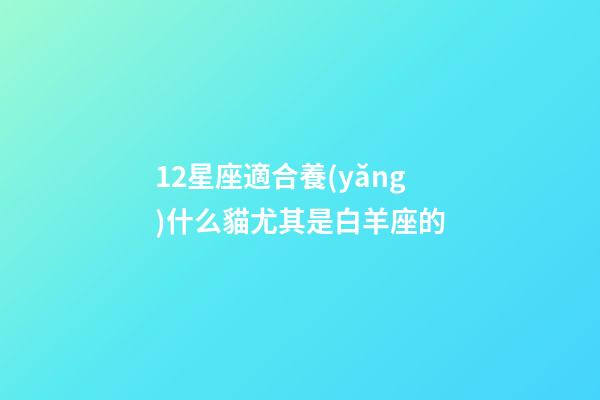 12星座適合養(yǎng)什么貓尤其是白羊座的-第1張-星座運勢-玄機派