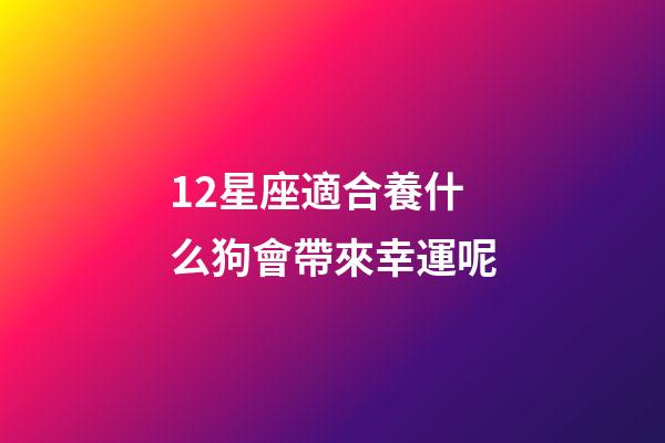12星座適合養什么狗會帶來幸運呢-第1張-星座運勢-玄機派