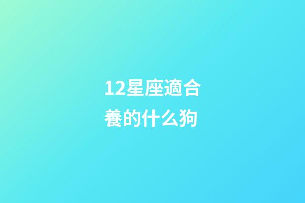 12星座適合養的什么狗-第1張-星座運勢-玄機派