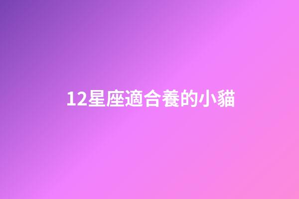 12星座適合養的小貓-第1張-星座運勢-玄機派