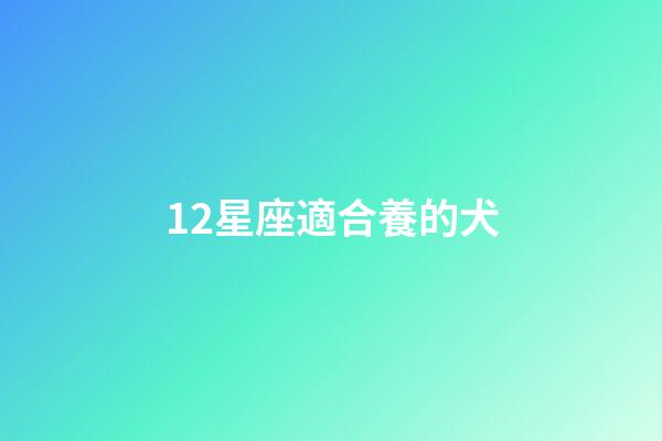 12星座適合養的犬-第1張-星座運勢-玄機派