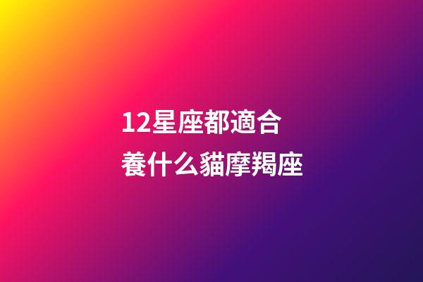 12星座都適合養什么貓摩羯座-第1張-星座運勢-玄機派