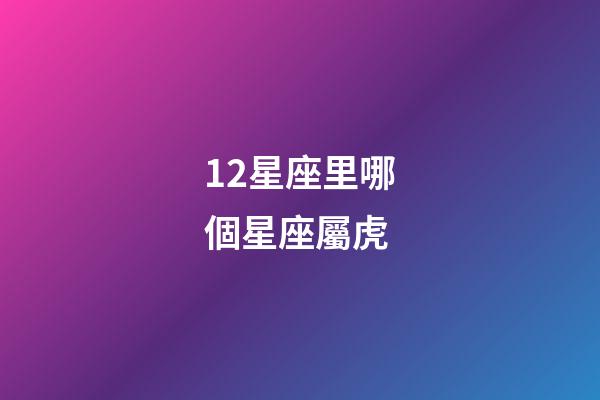 12星座里哪個星座屬虎-第1張-星座運勢-玄機派
