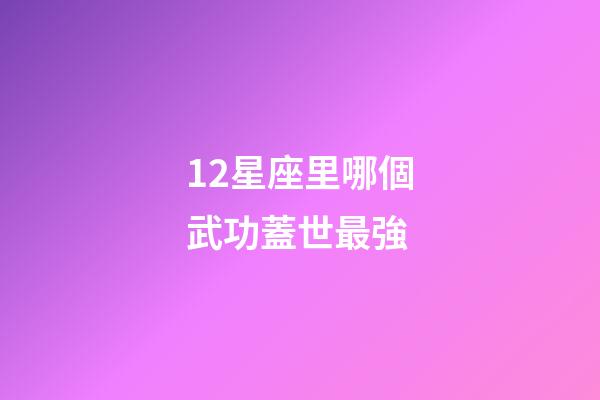 12星座里哪個武功蓋世最強-第1張-星座運勢-玄機派