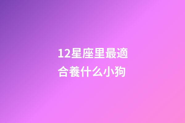 12星座里最適合養什么小狗-第1張-星座運勢-玄機派