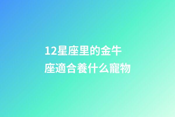 12星座里的金牛座適合養什么寵物-第1張-星座運勢-玄機派
