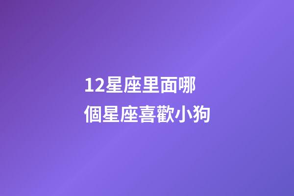 12星座里面哪個星座喜歡小狗-第1張-星座運勢-玄機派