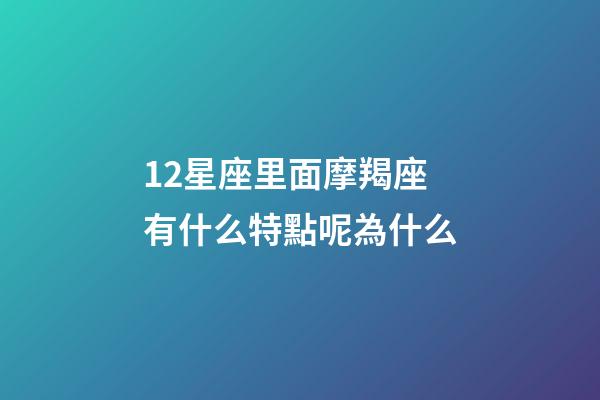 12星座里面摩羯座有什么特點呢為什么-第1張-星座運勢-玄機派