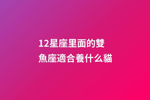 12星座里面的雙魚座適合養什么貓-第1張-星座運勢-玄機派