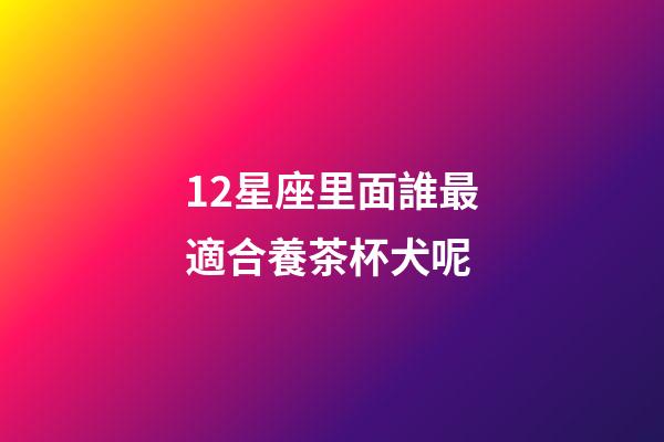 12星座里面誰最適合養茶杯犬呢