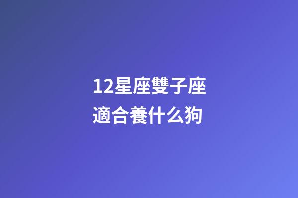 12星座雙子座適合養什么狗-第1張-星座運勢-玄機派